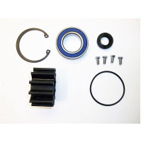 Raw Water Sea Pump Rebuild Kit Impeller Seal for Volvo Penta - 21214599 - JSP